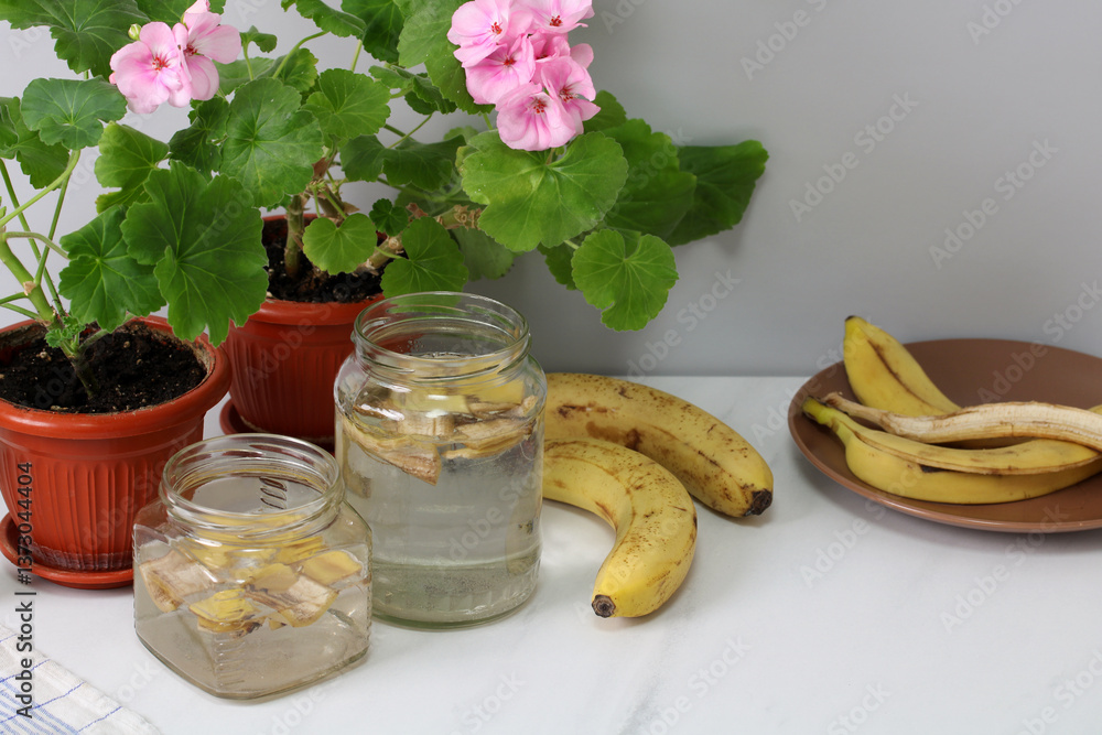 Jars filled with banana peel water as a natural organic fertilizer, placed beside potted flowering plants and ripe bananas.