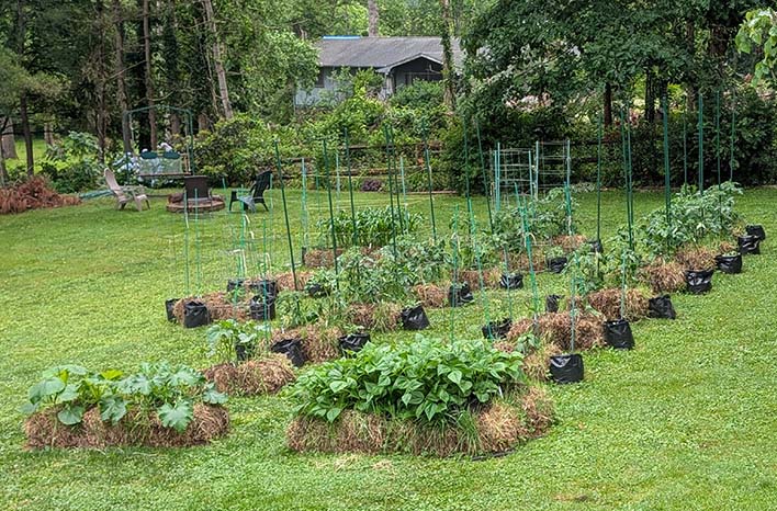 “Urban garden in Pakistan using grow bags of multiple sizes for homegrown vegetables like spinach, eggplant, and potatoes”