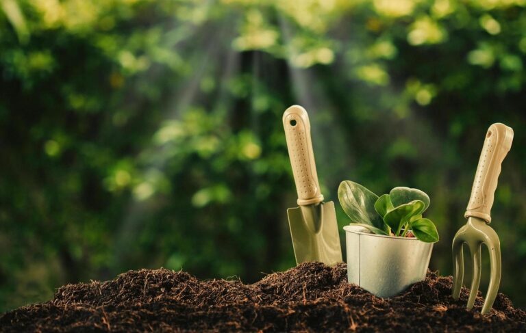 “Urban garden in Pakistan using grow bags of multiple sizes for homegrown vegetables like spinach, eggplant, and potatoes”