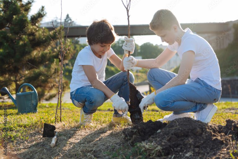 Kids planting a tree