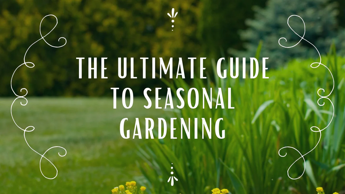 Seasonal Gardening Guide