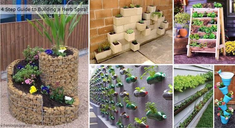 vertical gardening