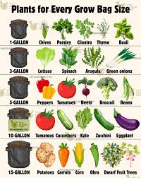 Grow Bag Sizes for Vegetables
