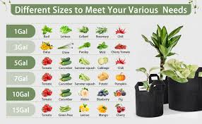 Vegetable Grow Bag Size Chart: Complete Plant-by-Plant Guide