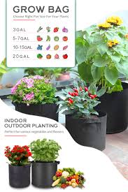 Vegetable Grow Bag Size Chart: Complete Plant-by-Plant Guide