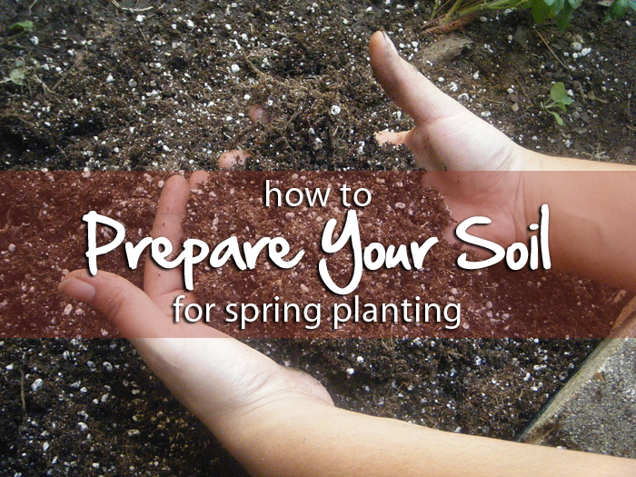 Spring Soil Prep