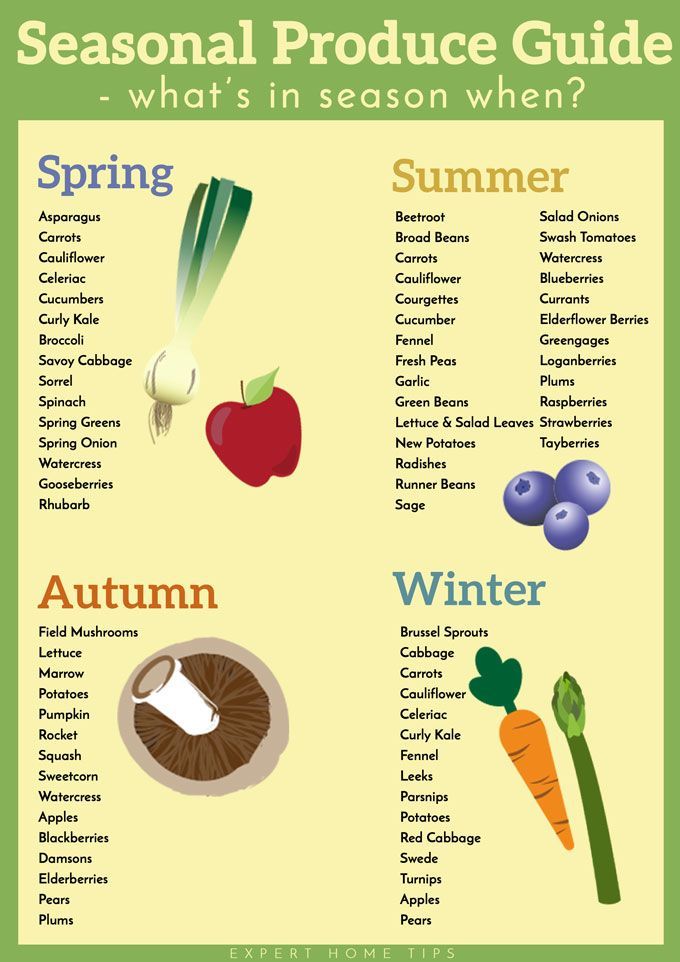 choosing the right grow bags for all seasons is essential