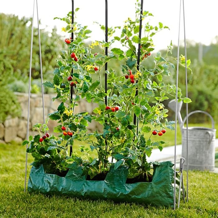 Get the Most Out of Your Grow Bags All Year Round