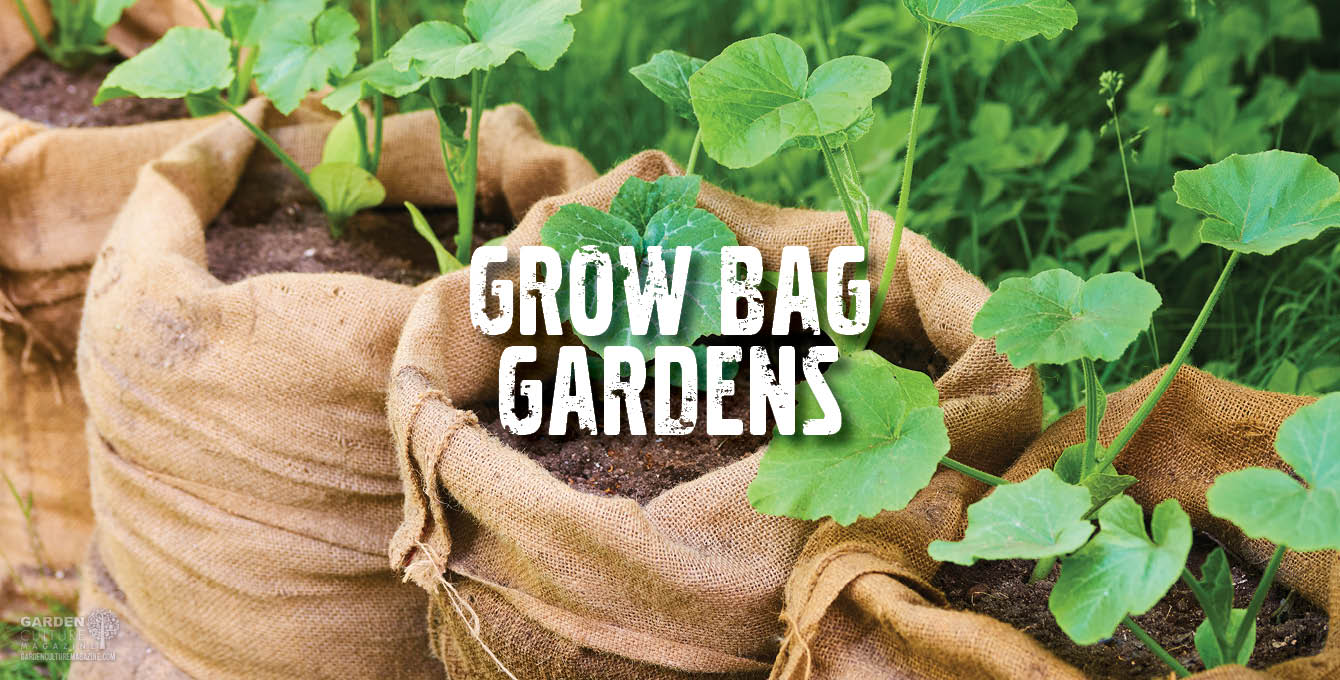 "Urban container garden using fabric grow bags filled with vegetables and herbs on a sunny rooftop patio in Pakistan"