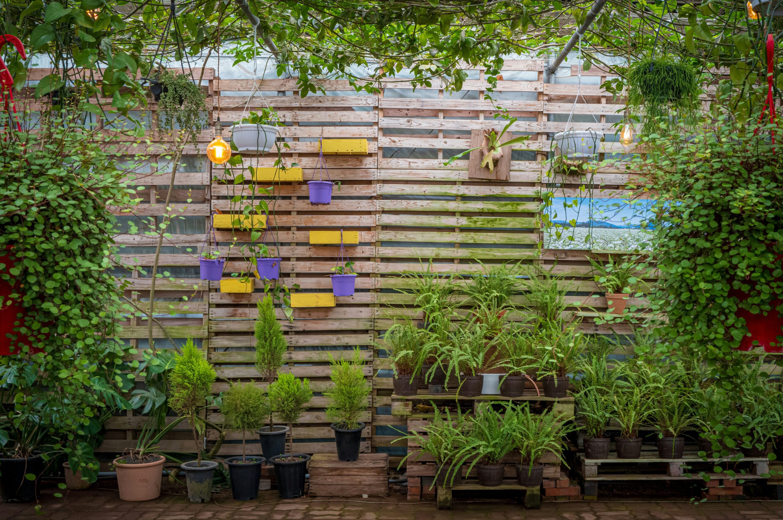 Urban Gardening Pakistan