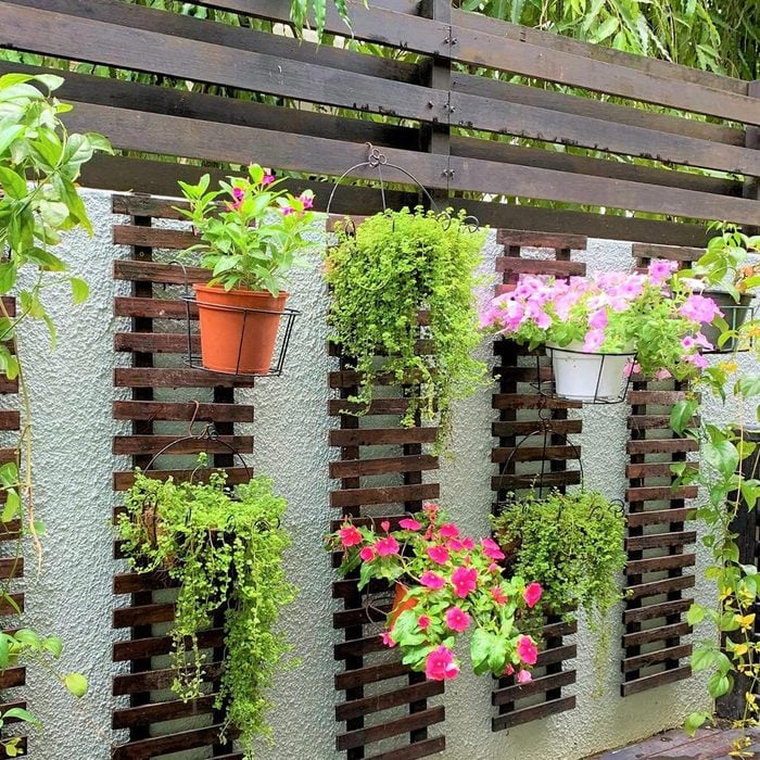 Urban Gardening Pakistan