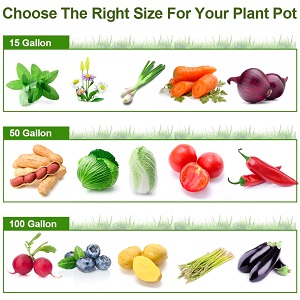 Right-Sized Grow Bags