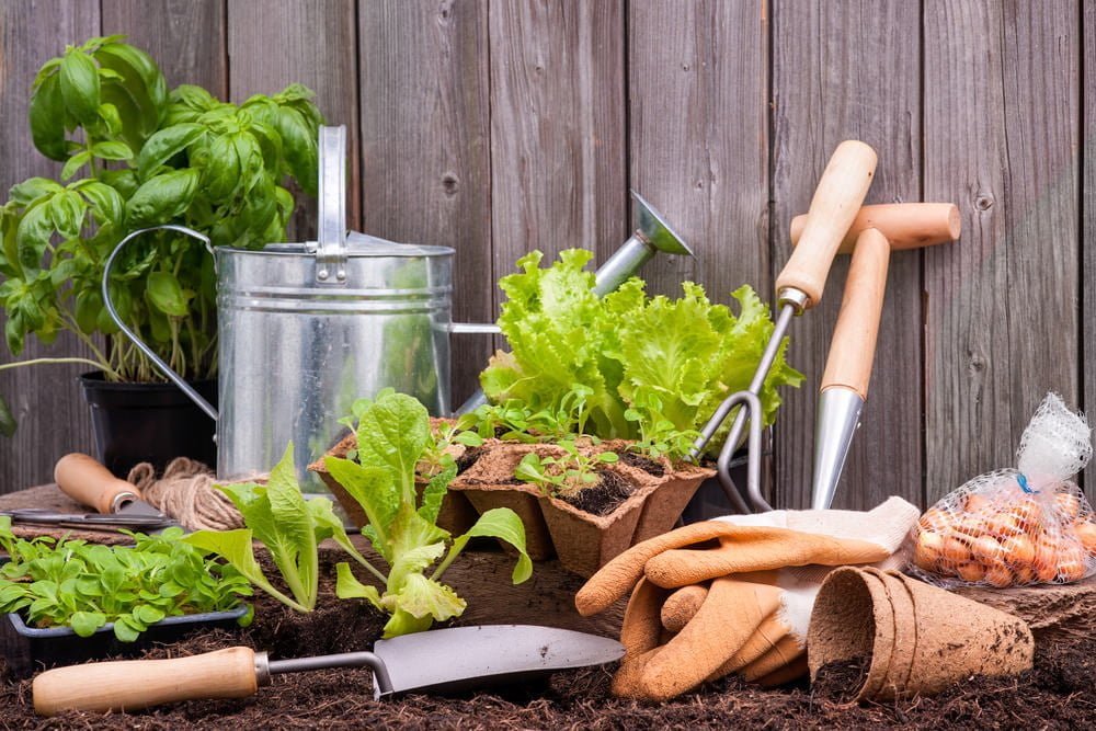 To begin container gardening with fabric grow bags,