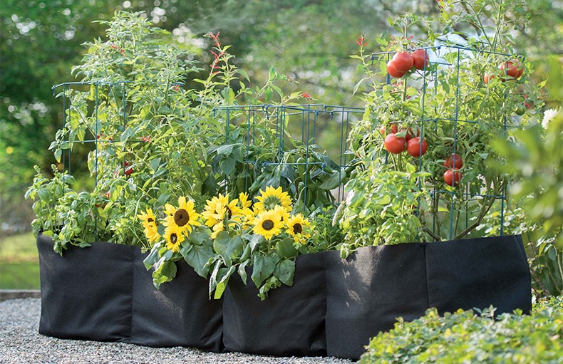 Top 7 Benefits of Grow Bags for Kitchen Gardening in Pakistan