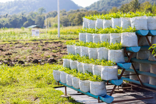 Stack of reusable fabric grow bags made from recycled plastic bottles