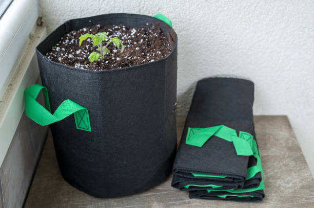 Fabric grow bags are plant containers made from non-woven fabric, usually polypropylene or recycled material. Unlike traditional plastic pots, they are